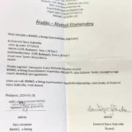 Michelle támogatás 2024